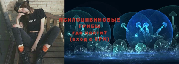 мяу мяу мука Покачи