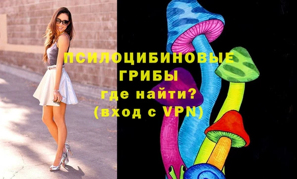 spice Пестово