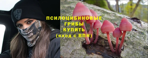 spice Пестово