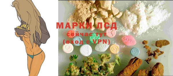 spice Пестово