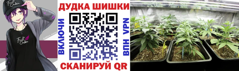 Купить  Комсомольск  Канабис планчик 